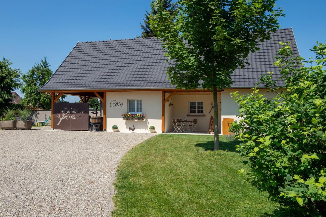 Cosy L'ecrin Du Ried Proche Europa-park Holiday home